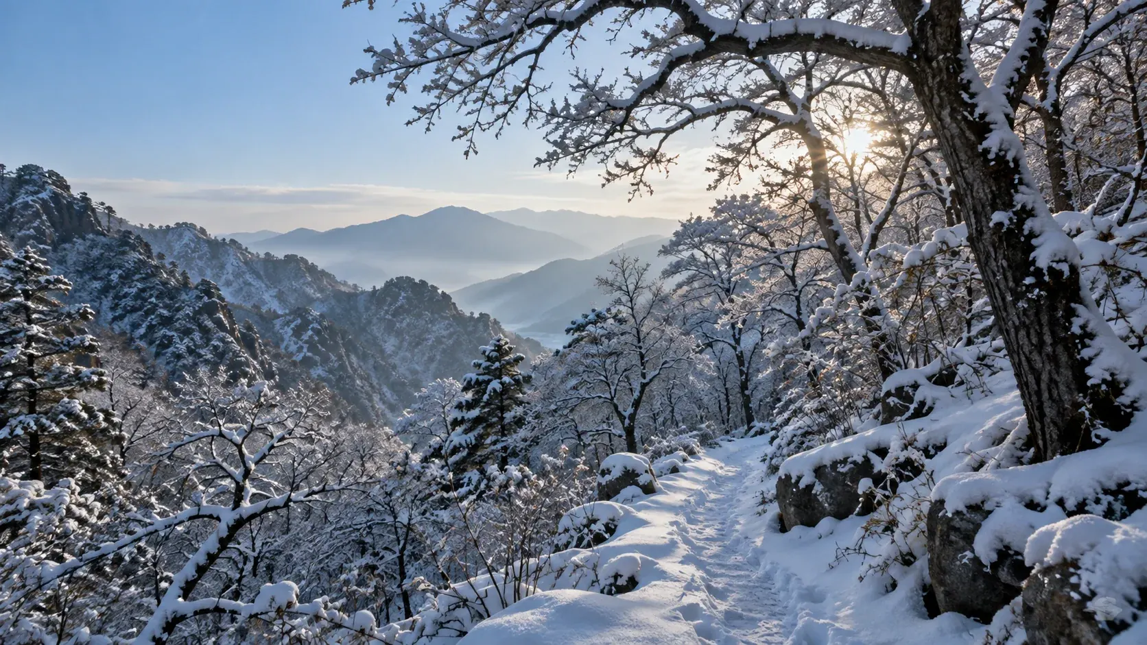Winter Wonderland: Snowy Forest Hike & Hot Springs