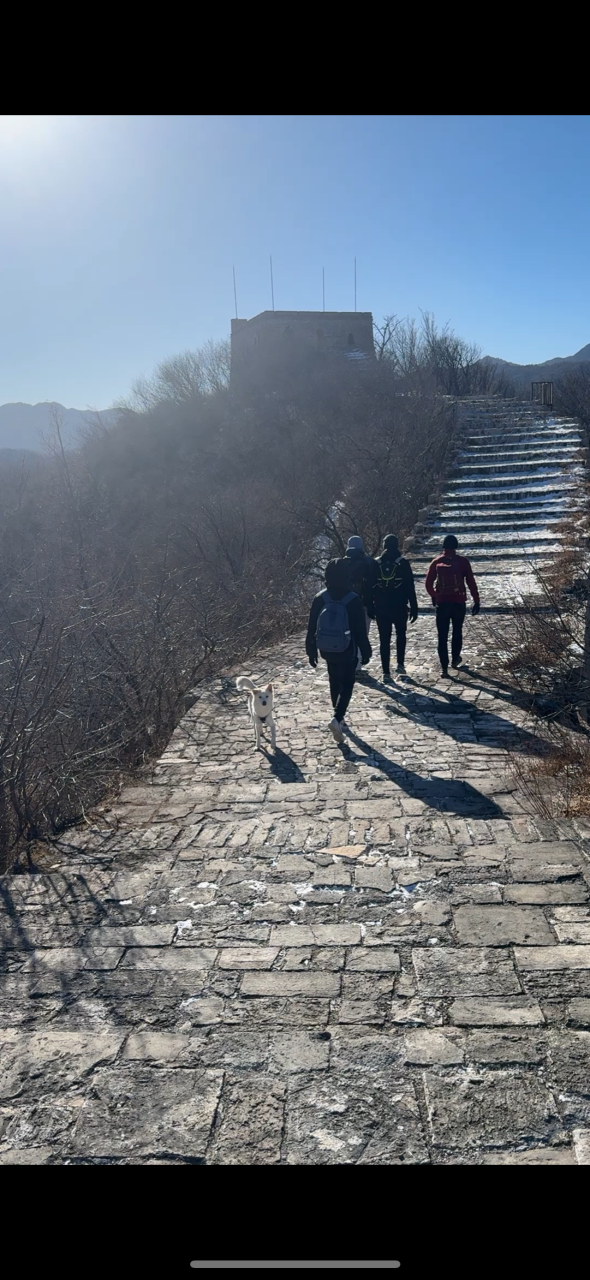 A group of clients walks up the stone steps of a gentle hill on a sunny early winter day for a Beijing gentle hike