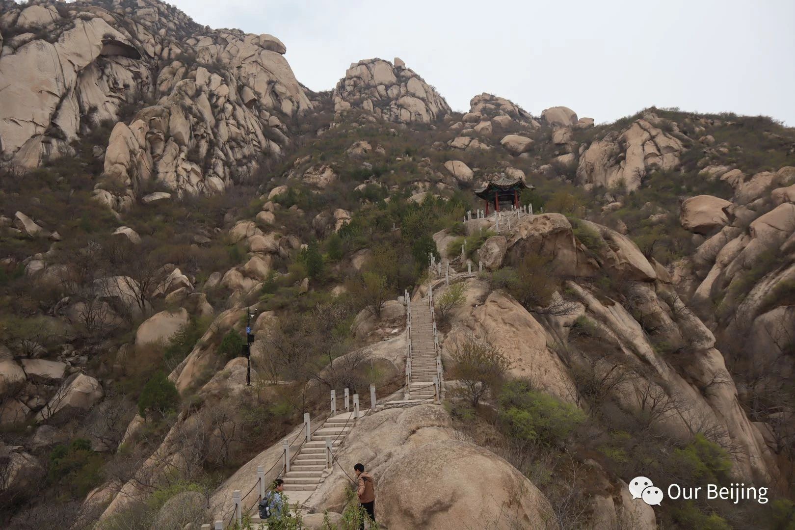 Our Beijing team hiking Phoenix Ridge – a wild adventure for your Beijing weekend