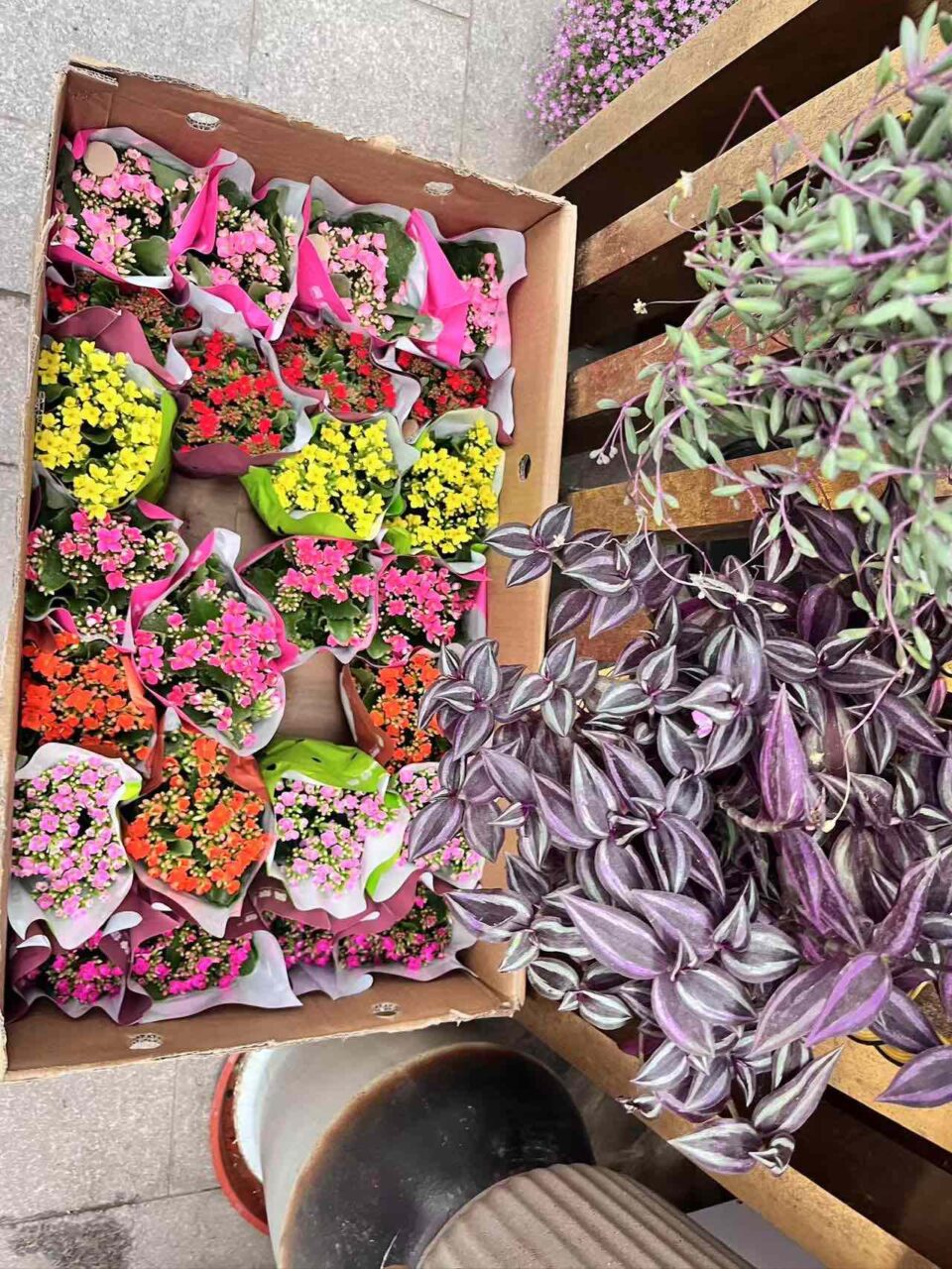 A bustling international fresh market in Beijing, where local vendors sell a variety of fresh flowers and produce from around the world. This vibrant market is a perfect spot to experience Beijing’s local culture and global culinary influences.