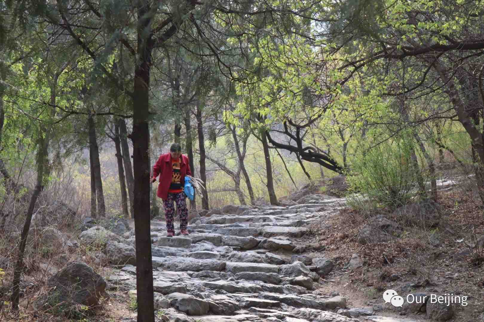 Hiking trail at Yangtai Mountain, a hidden gem among the best weekend getaways in Beijing