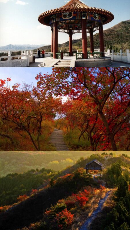 Mangshan Forest Park hike in Beijing — wooden stairs, forest trails, and panoramic views as part of Our Beijing’s Hike & Chill Guide